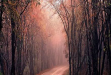 开云体育官网:顶流回归 冰墩墩“皮肤”上新 “蛇墩墩”发布亮相!央视新闻客户端.