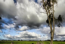 开云体育官网:WTT仁川冠军赛:A-勒布伦等选手退赛,国乒直板名将薛飞递补参赛.