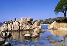 开云体育官网:稻谷与小麦17小时前.